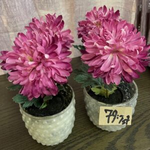 Konstväxt med kruka