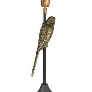 Lampfot Parrot